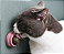 Bolinha Catnip com Suporte de Parede | DM Pets - Imagem 6