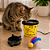 Fonte para Gatos DM Pets - Decor Plas - Imagem 2
