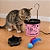 Fonte para Gatos DM Pets - Decor Plas - Imagem 4