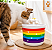 Bebedouro para Gatos DM Pets - Flor | DM Pets - Imagem 4