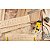 Tupia para Laminado 550W-220V - ST55B2 - STANLEY - Imagem 8
