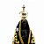Imagem Nossa Senhora Aparecida 20cm - Pó de mármore com Manto e Coroa - Imagem 3