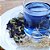 Boa Sorte 9g Pouch - Blend com Flor Fada Azul, Capim Limão e Vetiver - Imagem 2