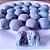 1 kg - 1000g Flores desidratadas de Fada Azul (Clitoria Ternatea) (faz 500L) - Imagem 6