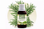 Extrato de Alecrim e Hortelã – Princípios da Natureza | Uso Oral | Conta-Gotas | 100% Natural | 30 ML - Imagem 1