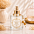 Aromatizador de Ambiente Spray Premium 240ml - Imagem 1