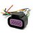 Plug Conector Chicote Acelerador Eletrônico Cargo 815 Ford Cargo Ônibus Chevrolet Meriva - 1 X - Imagem 2