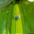 Piercing Falso em Prata 925 e Zircônia Verde - Imagem 1