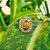 Anel Vazado Flores em Prata 925 e Olho de Tigre - Imagem 1