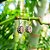 Brinco Balinês Caixa Alta em Prata 925 e Quartzo Rosa - Imagem 2