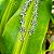 Pulseira Borboleta em Prata 925 - Imagem 2