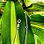 Pulseira Cobra em Prata 925 - Imagem 2