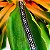 Pulseira Bali Pikun Tapetinho em Prata 925 - Imagem 1