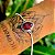 Pulseira Gota em Prata 925 e Rubi - Imagem 3