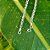 Pulseira Bali Elos em Prata 925 - Imagem 2