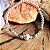 Pulseira Bali Bolas em Prata 925 - Imagem 1