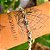 Pulseira Bali Detalhada em Prata 925 - Imagem 3