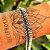 Pulseira Bali Pikun em Prata 925 - Imagem 3