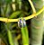 Brinco Argola Fecho Click em Prata 925 e Abalone - Imagem 1