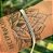 Pulseira Italiana Elos em Prata 925 - Imagem 3