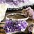 Bracelete Liso com Fecho em Prata 925 - Imagem 1