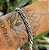 Pulseira Bali Torcida em Prata 925 - Imagem 3