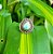 Anel em Prata 925 e Larimar - Imagem 1