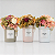Elysian Blossom Collection - Imagem 1