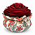 Rosa Perfumada Sementes do Brasil - Imagem 3