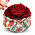 Rosa Perfumada Sementes do Brasil - Imagem 2