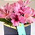 Mini cachepot azul com astromelia pink - Imagem 2