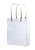 SACOLA DE PLÁSTICO PARA PRESENTE-FJ91364 - Imagem 1