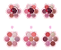 PALETA DE SOMBRA- BB5173 / BOBBI RARA - Imagem 1