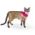 Bandana Capa Cat - Rosa Pink - Imagem 5