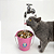 Bebedouro CatMyPet 2.0 - Fonte para Gatos Magicat - Imagem 2