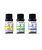 Kit Top 3 Essências Bambu - Capim Limão - Lavanda - Imagem 1