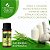 Óleo Essencial Puro De Lemongrass 10ml (massagens relaxantes ou estéticas. Alivia dores musculares e inflamações localizadas, por ter ação analgésica e relaxante muscular. Em massagens estéticas, ajuda a reduzir gordura localizada e celulite) - Imagem 3