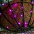 Cordão de Luzes LED Halloween 10 Morcegos Roxo Decoração Festa Pilha - Imagem 3