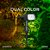 Luminária Solar Spot 200 Lúmens Espeto de Jardim Externo Refletor LED Dual Color Verde + Branco Quente 3000K Potente - Imagem 2