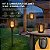 Kit 2 Luminárias Solares Decorativas 3 em 1 Efeito Chama LED Tocha Solo Pendente Lanterna Mesa Jardim - Imagem 5