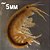 Amphipodes Vivos - Imagem 3
