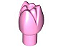 Flor de Tulipa com uma Rosa Brilhante - Imagem 1