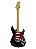 GUITARRA TAGIMA STRATOCASTER TG-530 BLACK - ESCALA CLARA ESCUDO TORTOISE - Imagem 1
