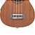 UKULELE ELETRICO SOPRANO SPRING US-21 AT - Imagem 4
