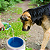 Tigela de Agua Fresca para Cachorro - Imagem 1