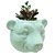 Vaso de Parede Cachepot Urso Verde Cerâmica - Imagem 1