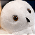 Coruja Edwiges - Plush Toy - Harry Potter - Imagem 3