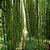 Essência Insp Bamboo Martam - Imagem 4
