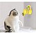 Brinquedo Giratório para Gatos Double Diversão com Catnip - Imagem 2