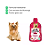 Shampoo Hidratante Para Cães e Gatos Collie Vegan Cheirinho de Morango 400 ml - Imagem 2